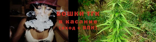 крисы Армянск